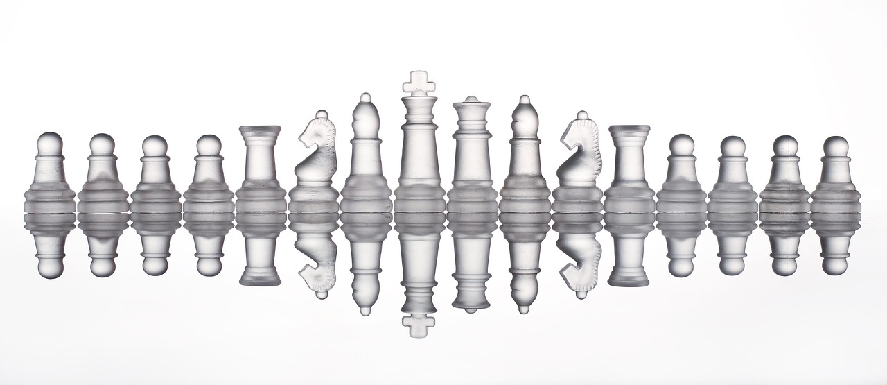 chess, pawn, king, queen, strategy, game, strategic, champion, figure, kingdom, nature, war, tactics, horse, castle, soldier, hero, bishop, piece, knight, check, checkmate, warrior